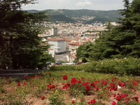 Вид на город Триест